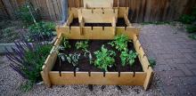 6 Open Source Kits to Kickstart Your Urban Gardening