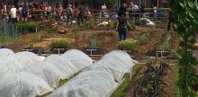 Common Good City Farm Brings D.C. Community Together