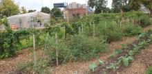 The City of Atlanta Hires First Urban Agriculture Director