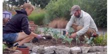 Alleycat Acres Puts New Twist on Community Gardens in Seattle