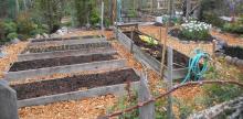 10 Cities Pushing the Bounds of Community Gardening